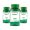 3 Potes Ormona® 500mg - Selo de Autenticidade cada